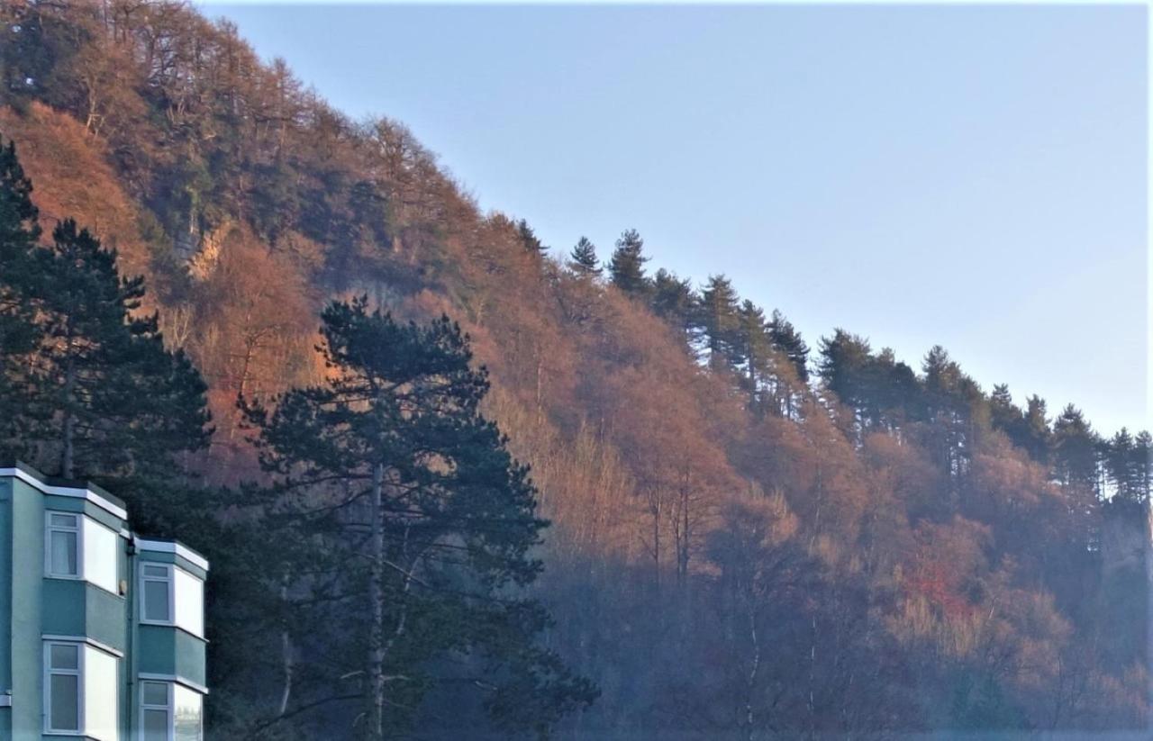 Wye Rapids House Bed and Breakfast Symonds Yat Buitenkant foto